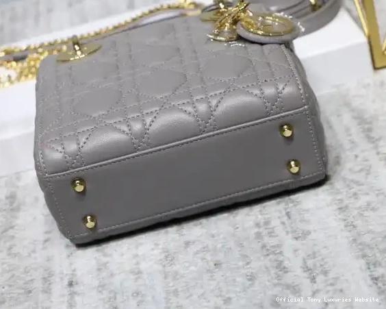 Tony Luxuries Mini With Lambskin diro Lady 0523